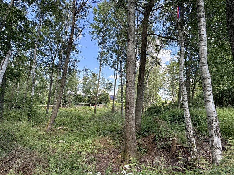 Prodej pozemku, 3 000 m² (2 z 9)
