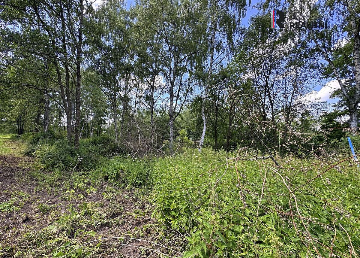 Prodej pozemku 3000 m² – fotografie 4