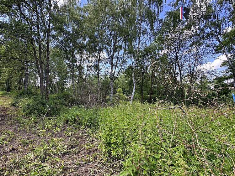 Prodej pozemku, 3 000 m² (4 z 9)