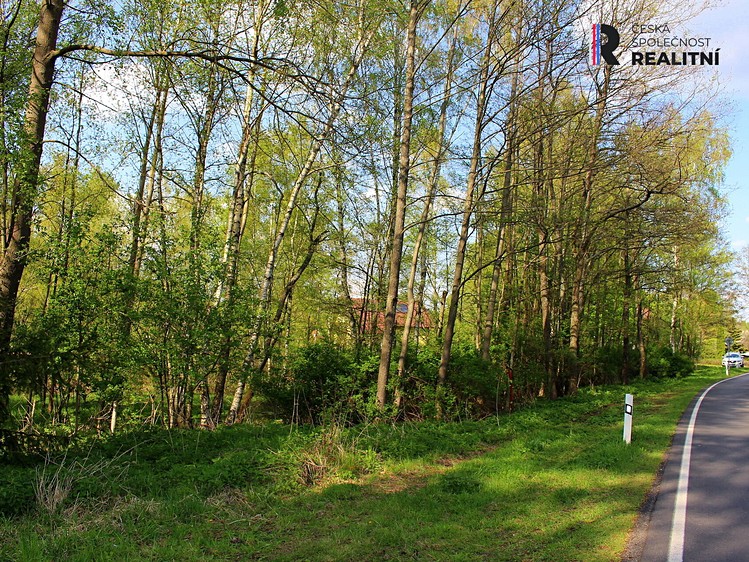 Prodej pozemku, 3 000 m² (6 z 9)