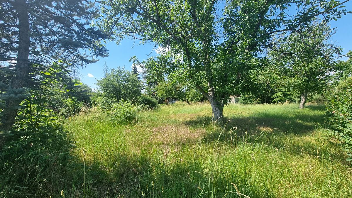 Prodej stavebního pozemku 2121 m² – fotografie 3