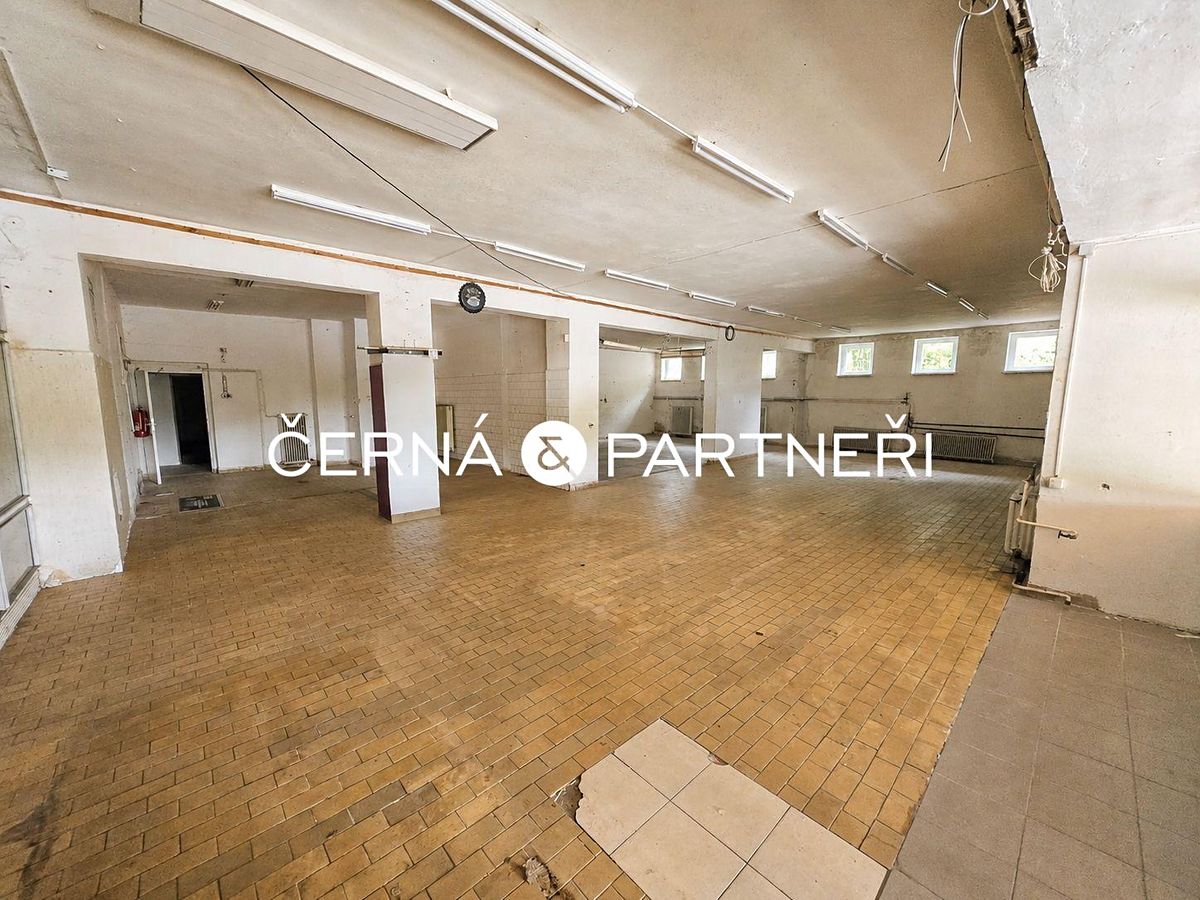Pronájem obchodního prostoru 319 m² – fotografie 2