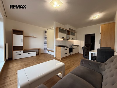 Pronájem bytu 1+kk 45 m²