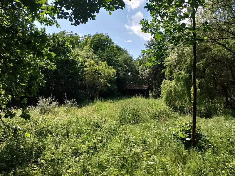 Prodej zahrady 829 m², Puclice – náhled fotky 2