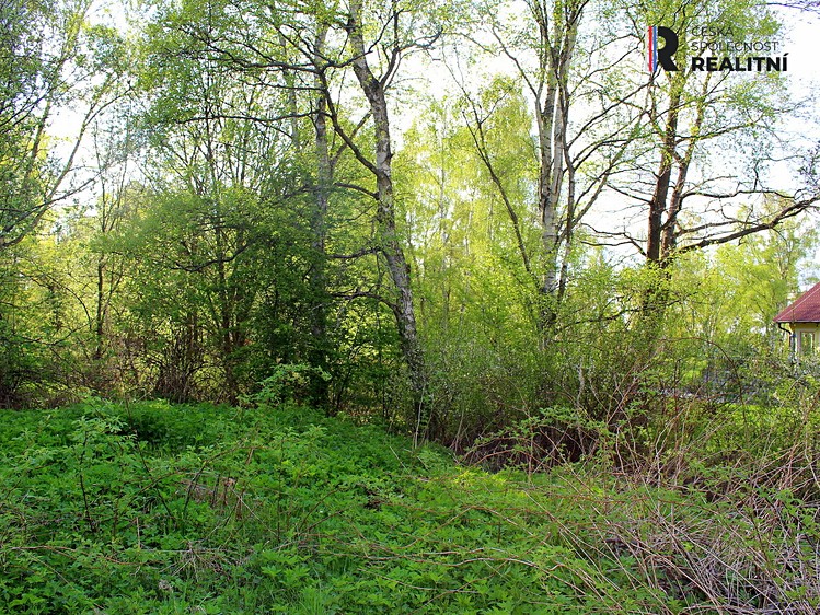 Prodej pozemku, 3 000 m² (7 z 9)