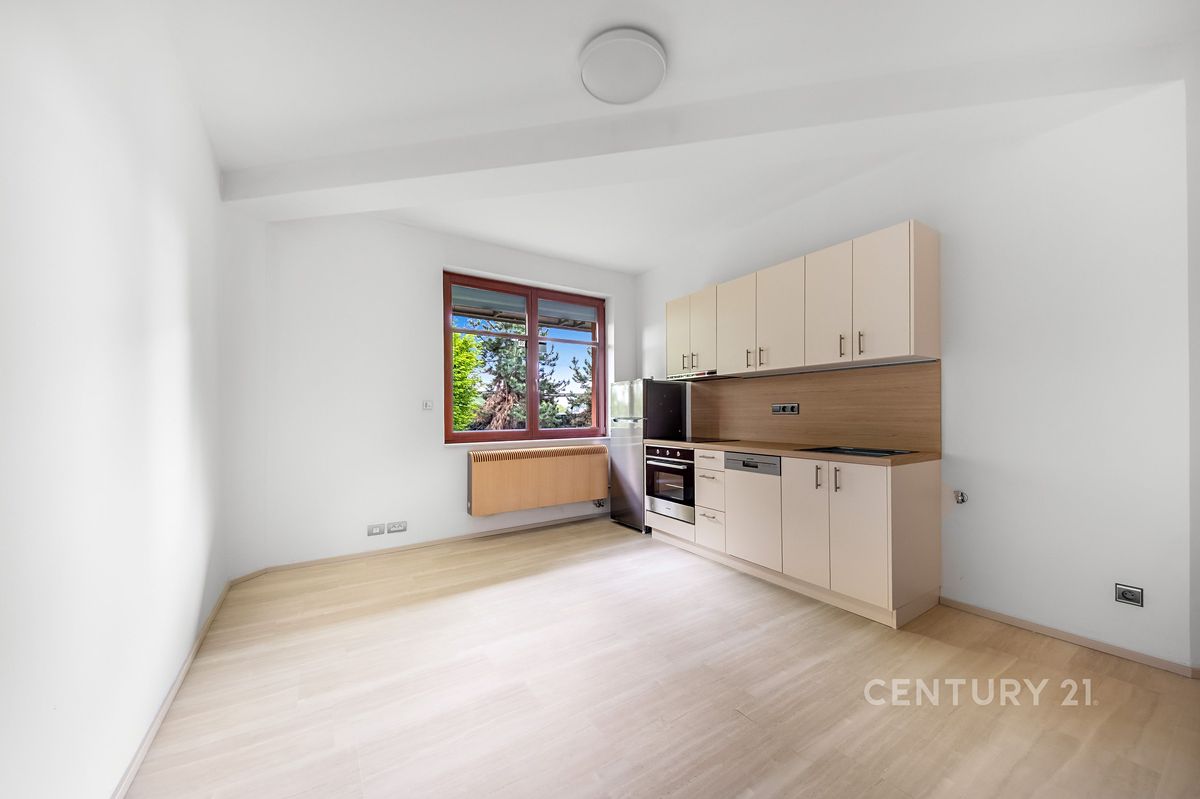 Pronájem bytu 2+kk 54 m²