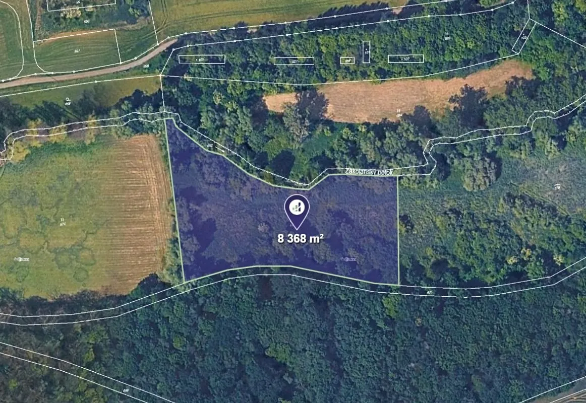 Prodej louky 8368 m²