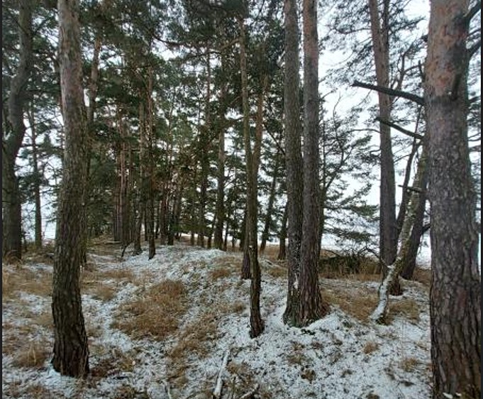 Grundstück zum Kauf, 2.680 m² (2 von 6)