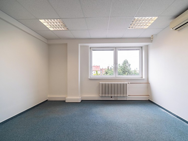 Pronájem komerčního prostoru, 250 m² (10 z 16)