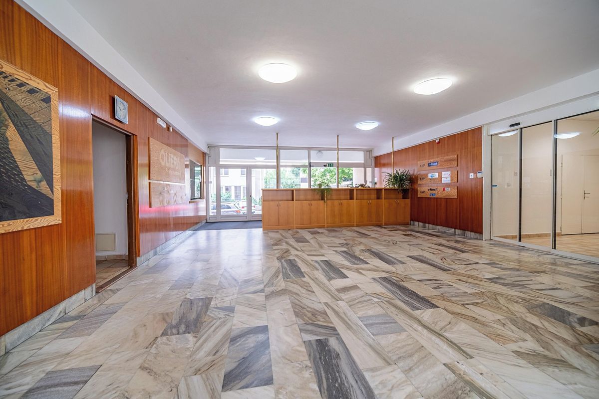 Pronájem kanceláře 250 m² – fotografie 5