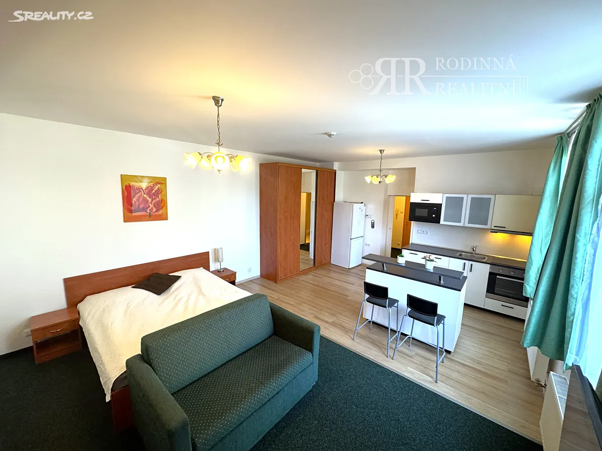 Pronájem bytu 1+kk 40 m² – pohled 2