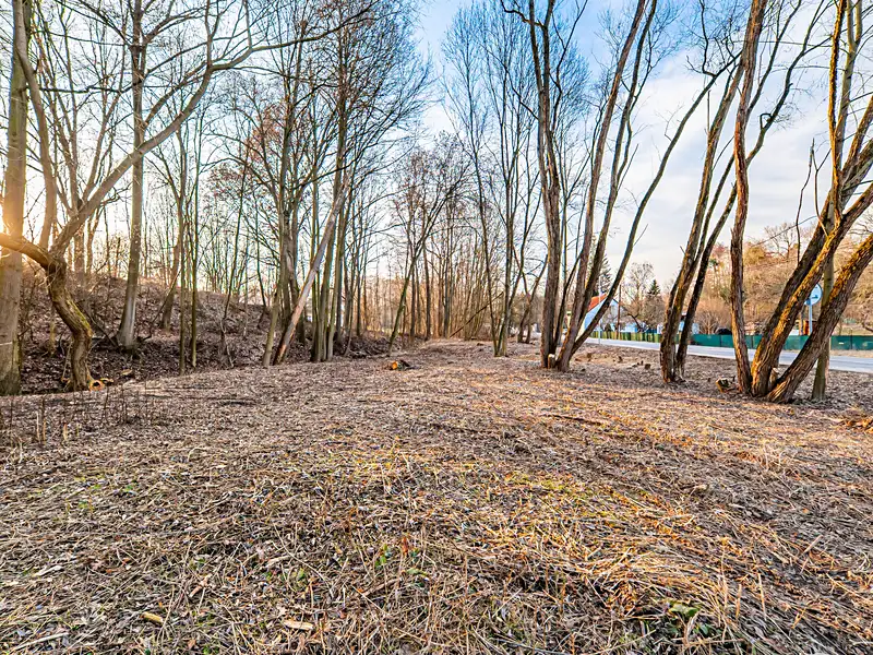 Prodej komerčního pozemku 809 m², Bystřice – náhled fotky 3