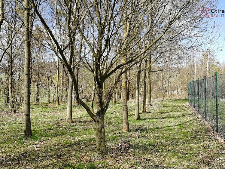 Grundstück zum Kauf, 1.640 m² (6 von 13)