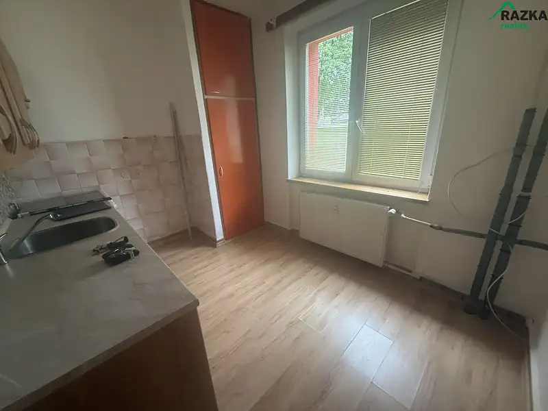 Pronájem bytu 3+1 66 m², Planá – náhled fotky 2