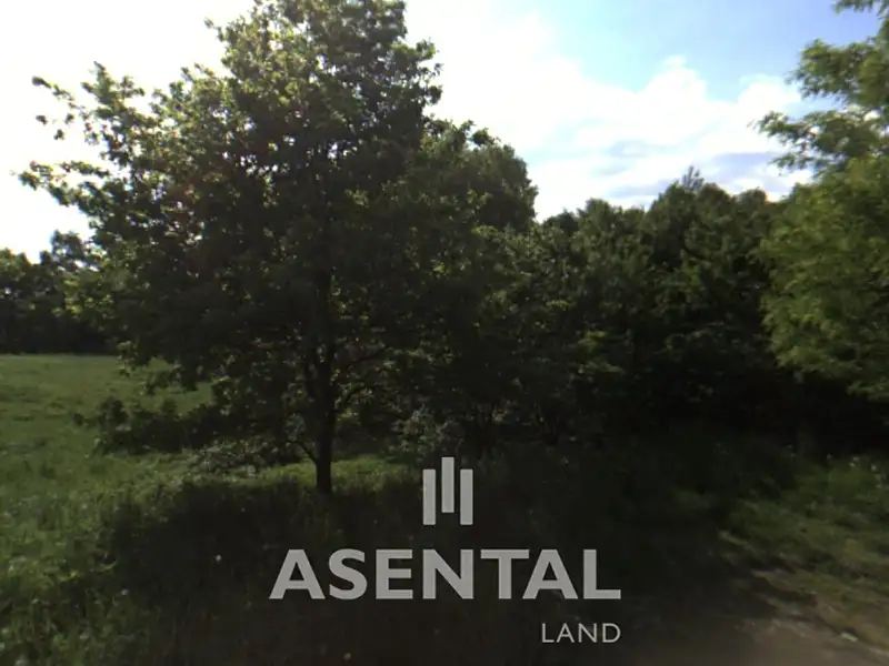 Prodej pozemku 9533 m², Rychvald – náhled fotky 2