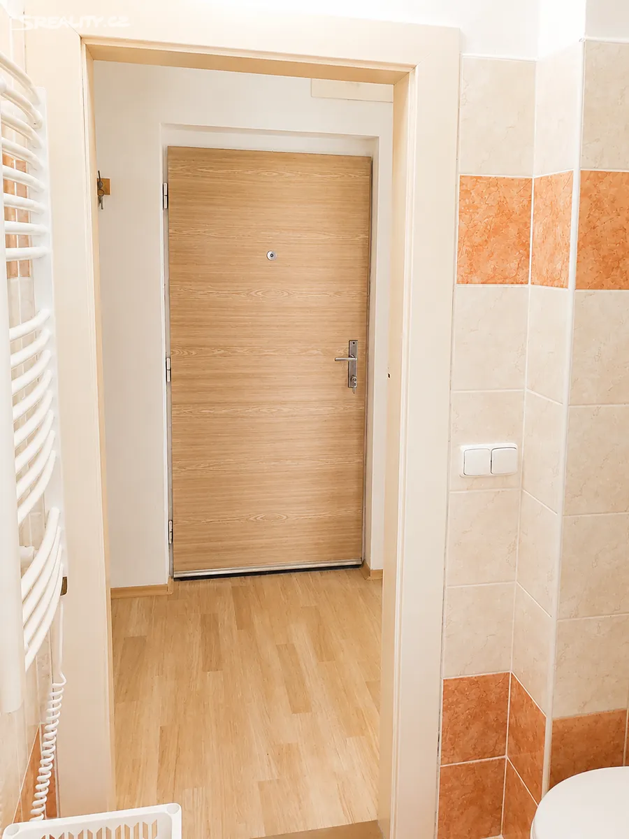 Pronájem bytu 2+kk 42 m² - Widok 3