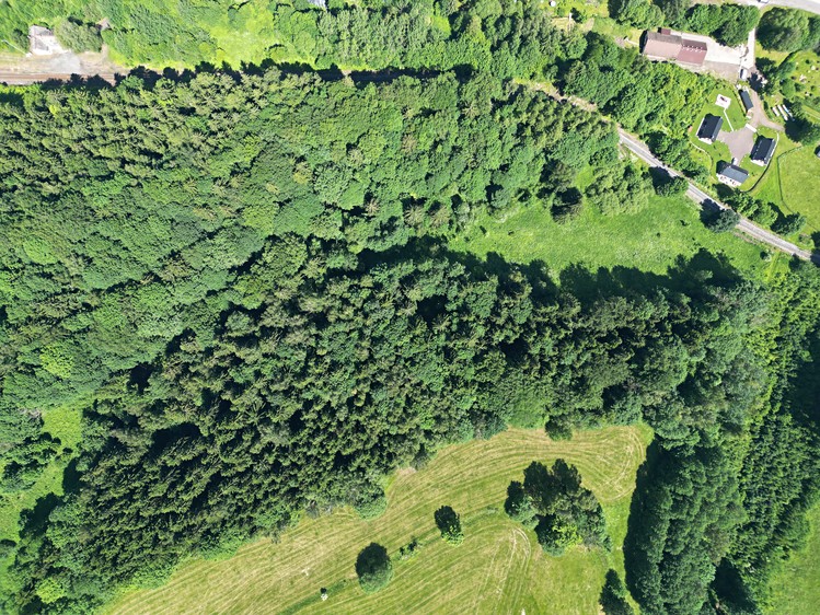 Grundstück zum Kauf, 67.106 m² (4 von 9)