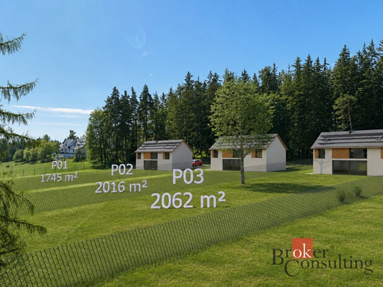 Grundstück zum Kauf, 4.779 m² (4 von 7)