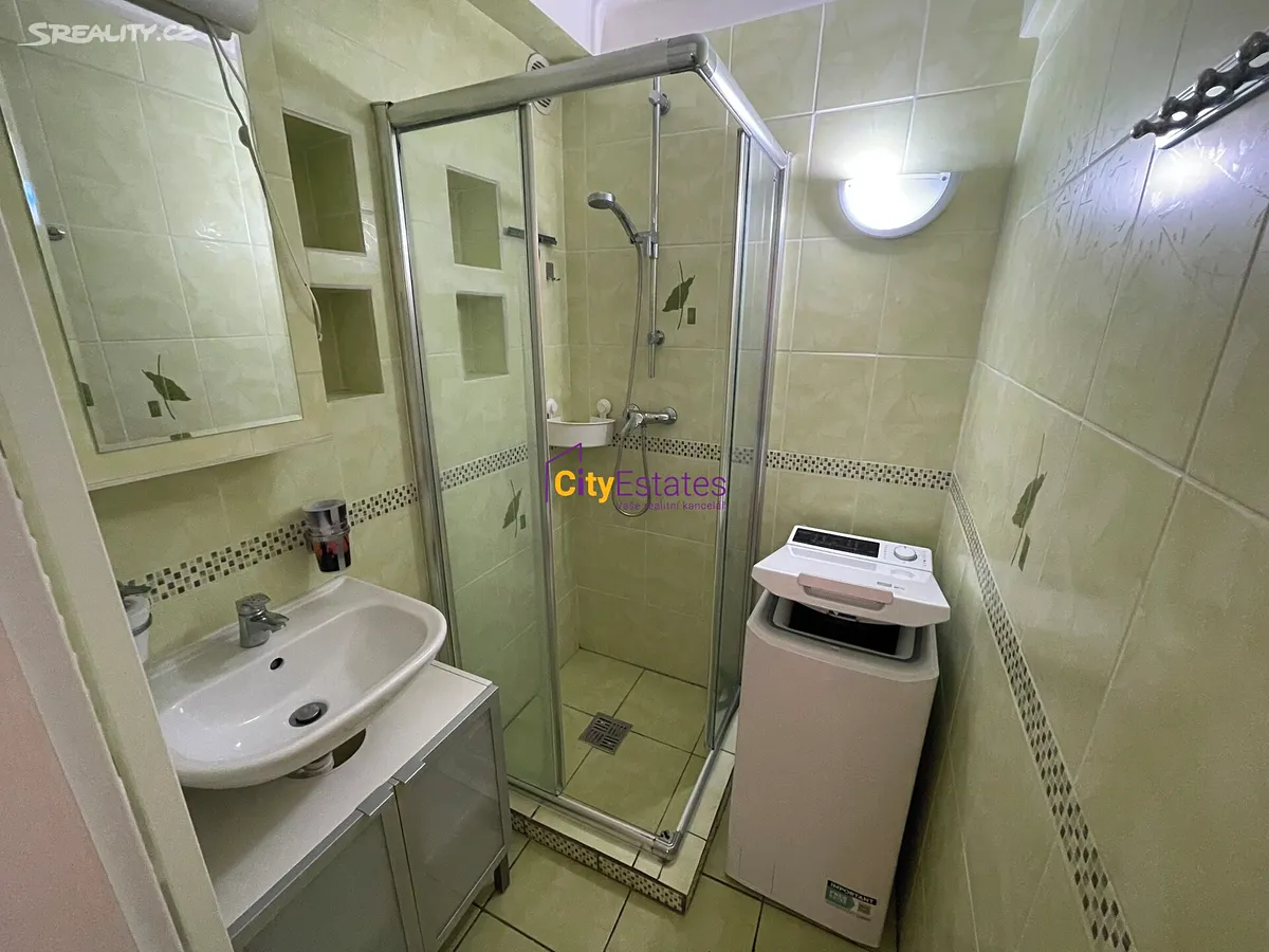 Pronájem bytu 2+1 57 m² – další