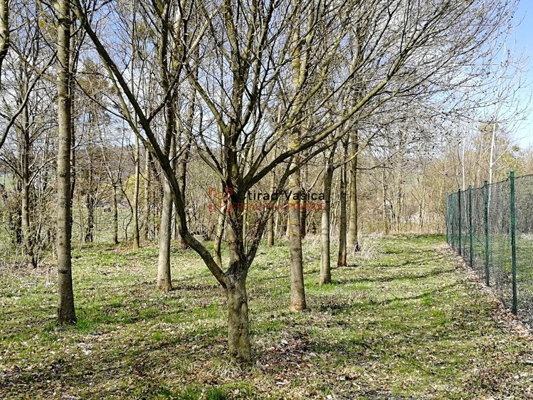 Ділянка на продаж, 3 760 м² (9 з 15)