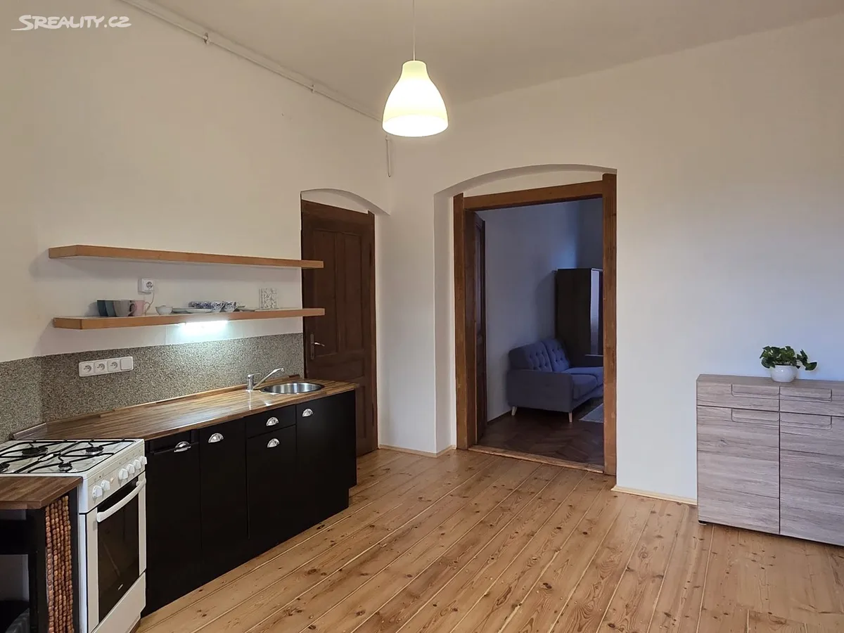 Pronájem bytu 1+1 49 m² – další