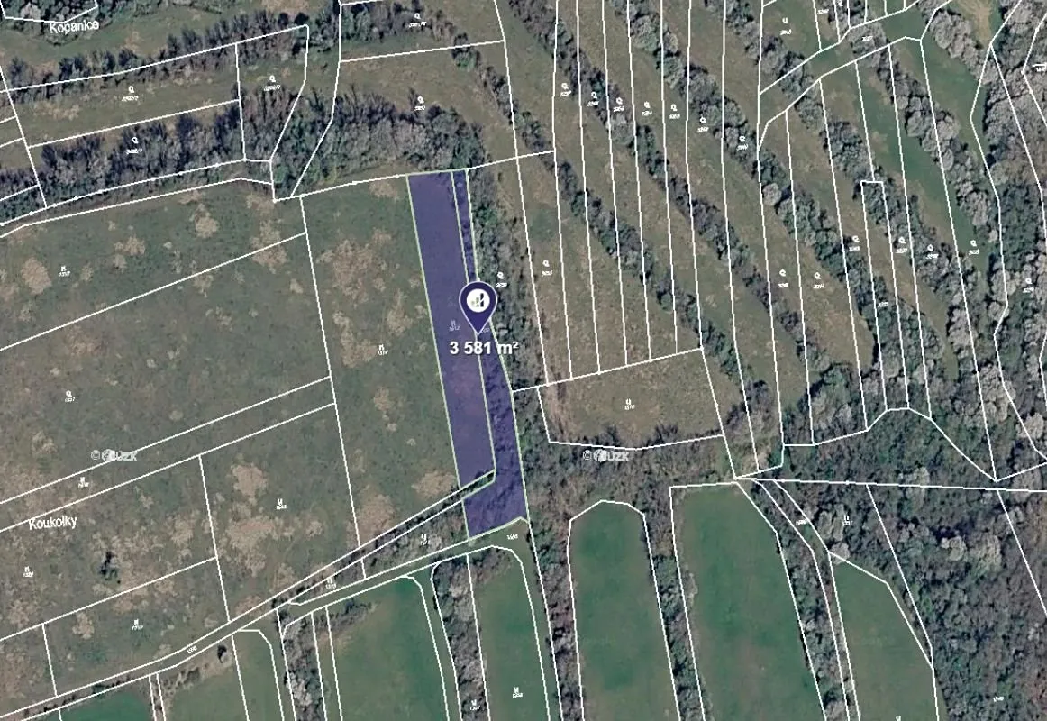Prodej sadu, vinice 3992 m²