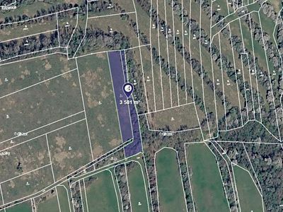 Prodej sadu, vinice 3992 m²