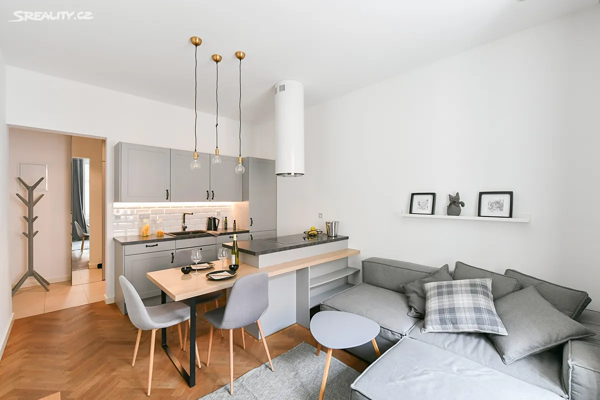 Pronájem bytu 2+kk 46 m² – pohled 2