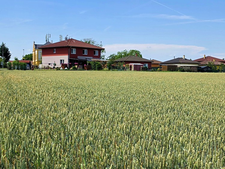 Prodej domu, 196 m² (26 z 28)