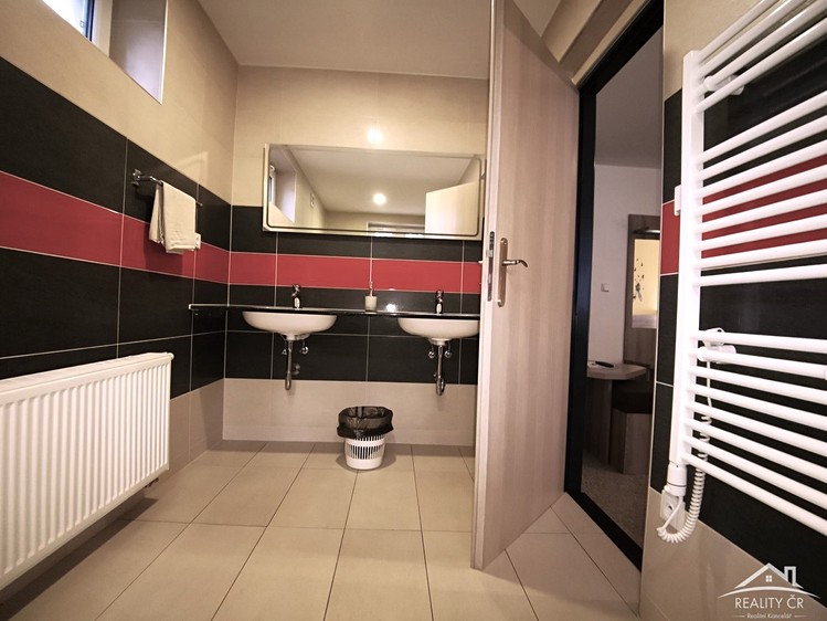 Pronájem komerčního prostoru, 385 m² (11 z 22)