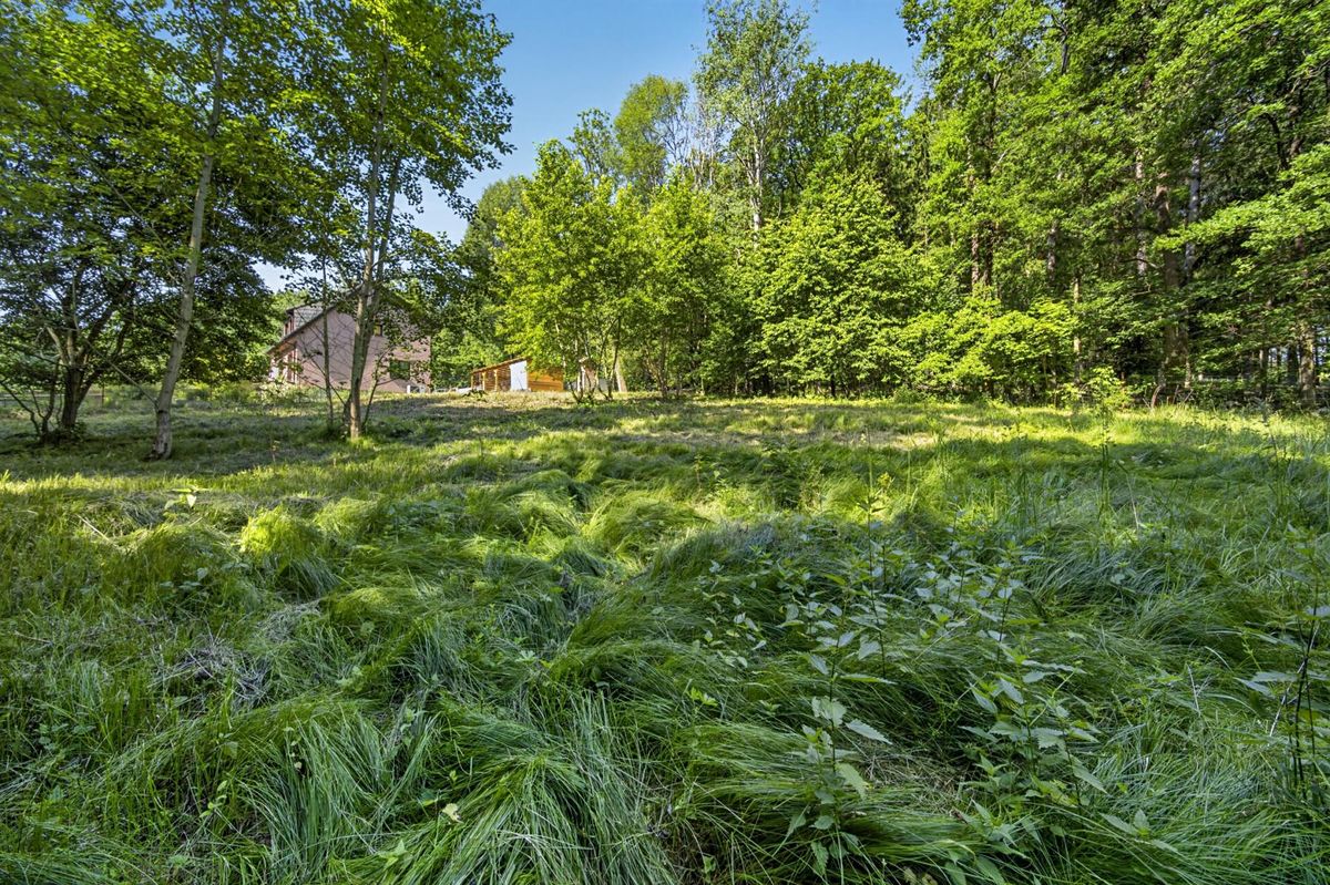 Prodej stavebního pozemku 2167 m² – fotografie 3