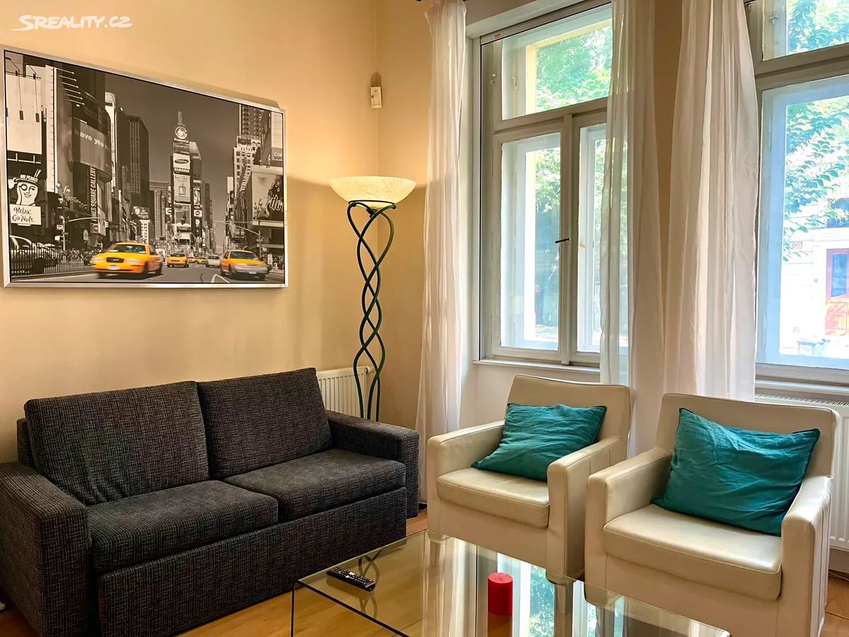 Pronájem bytu 1+1 55 m² – pohled 6