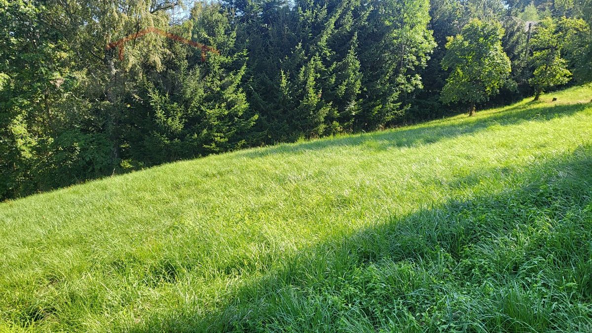 Prodej stavebního pozemku 3186 m² – fotografie 3