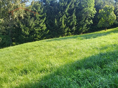 Grundstück zum Kauf, 3.186 m² (3 von 14)