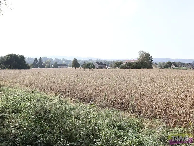 Prodej pole 27614 m², Dvůr Králové nad Labem – náhled fotky 3