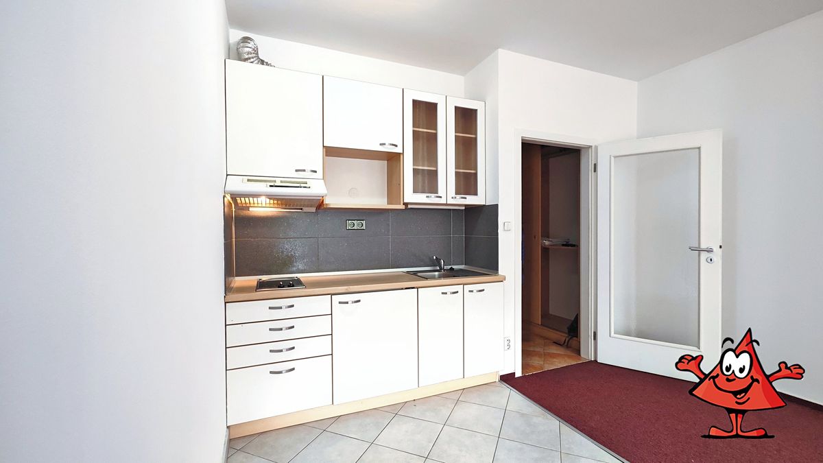 Pronájem bytu 1+kk 30 m²