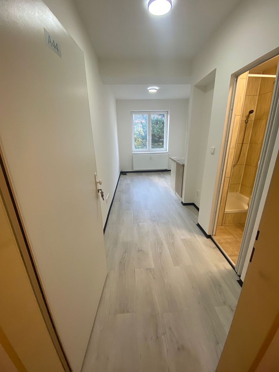 Pronájem bytu 1+kk 18 m²