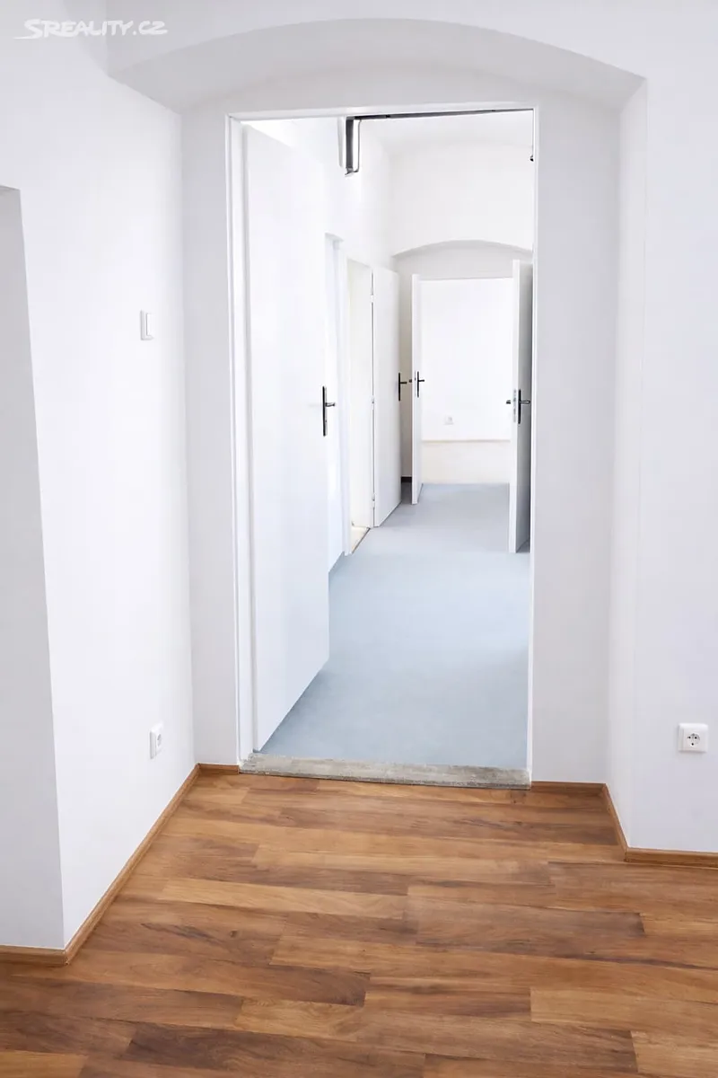 Pronájem obchodního prostoru 110 m² – pohled 4