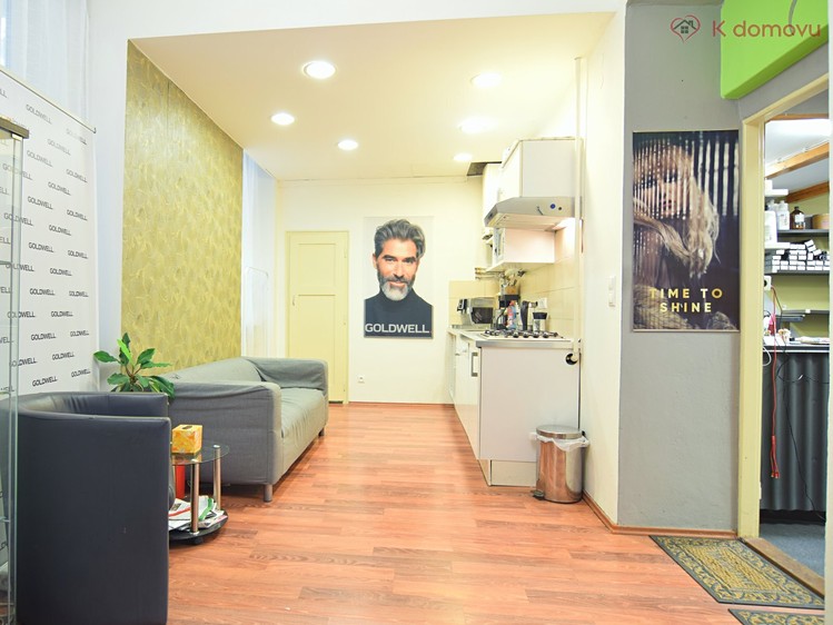Prodej bytu 2+1, 66 m² (9 z 26)