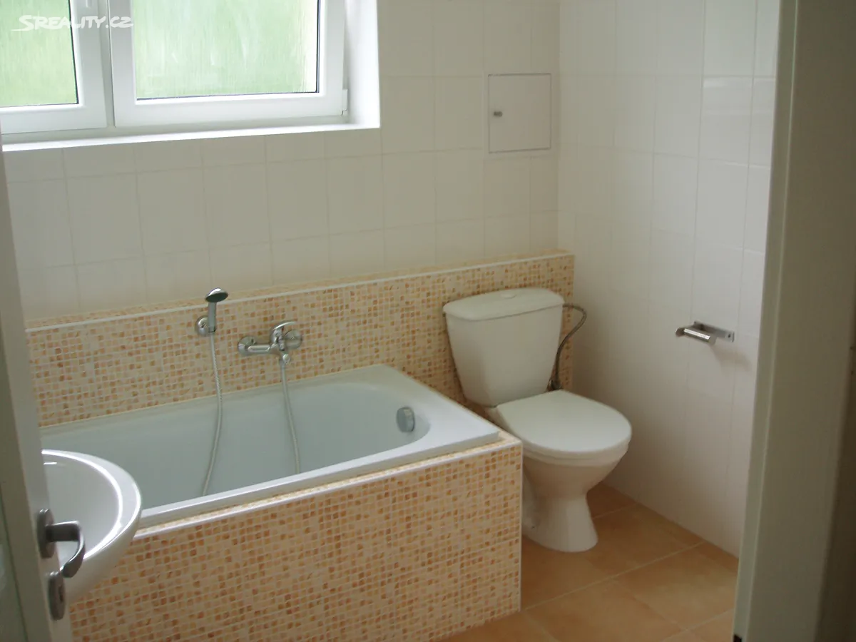Pronájem bytu 2+1 60 m² – pohled 4