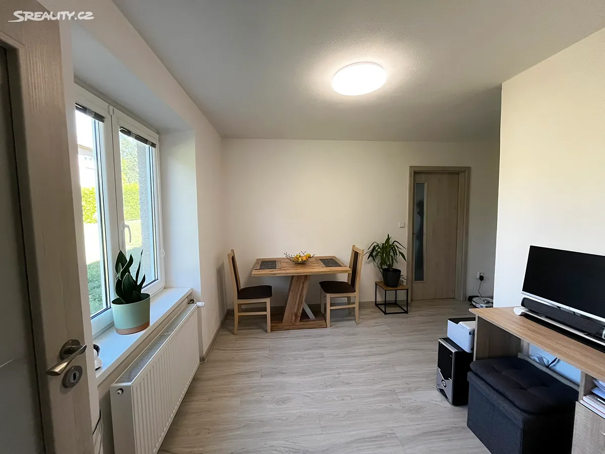 Pronájem bytu 3+1 55 m² - More