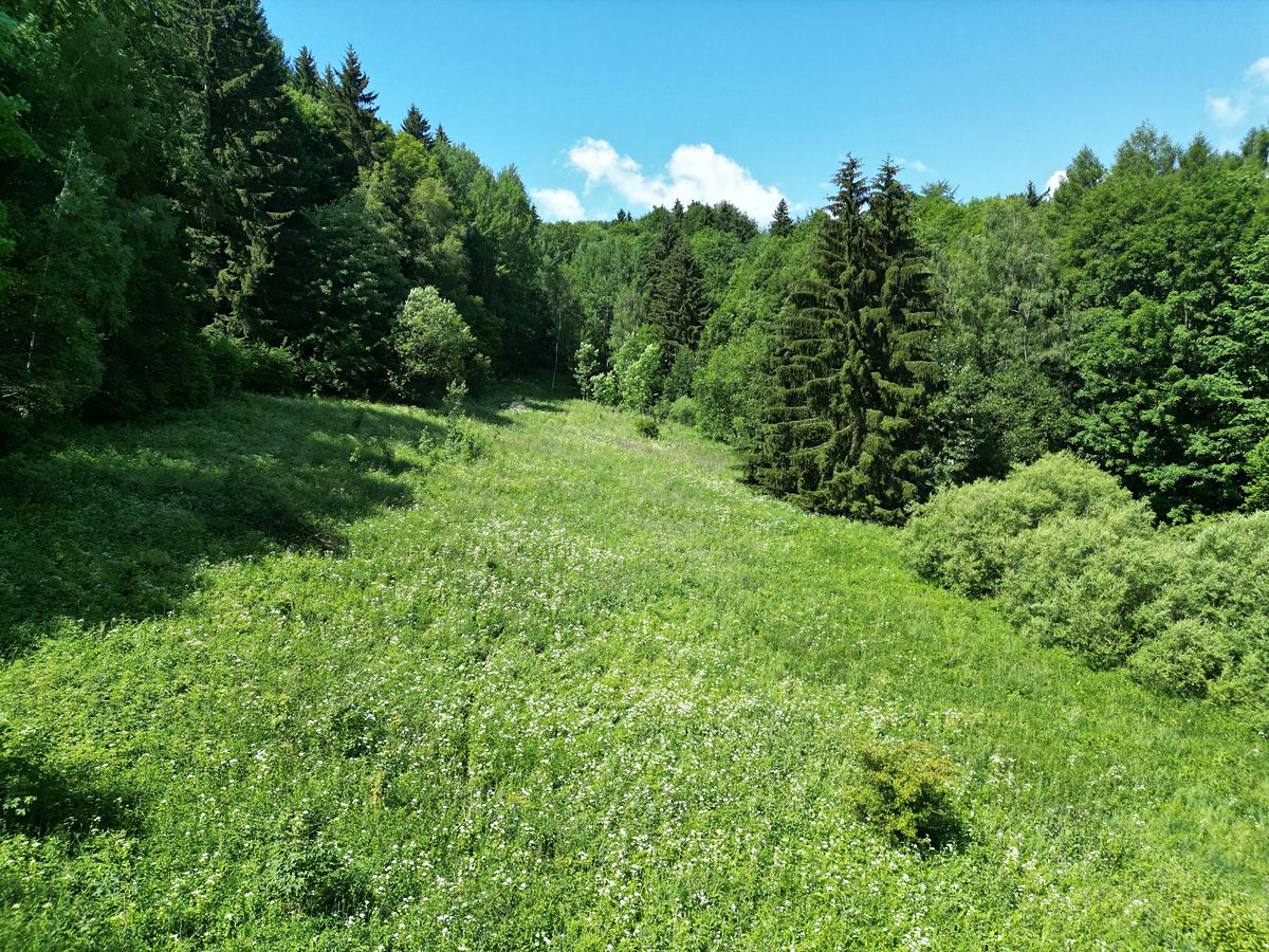 Prodej pozemku 67106 m²
