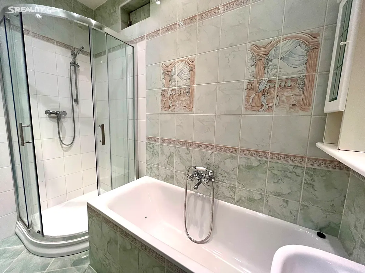 Pronájem bytu 1+1 55 m² – pohled 4