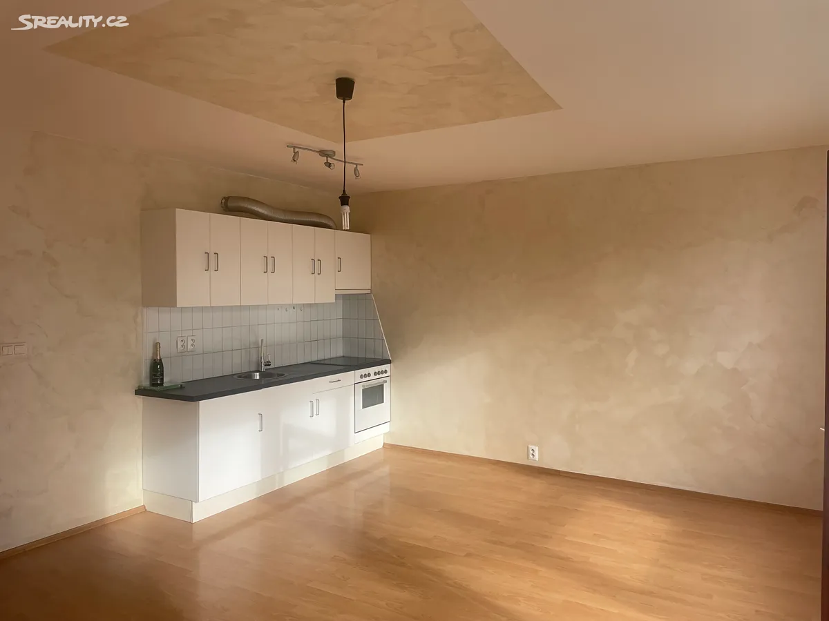 Pronájem bytu 1+kk 42 m², Praha