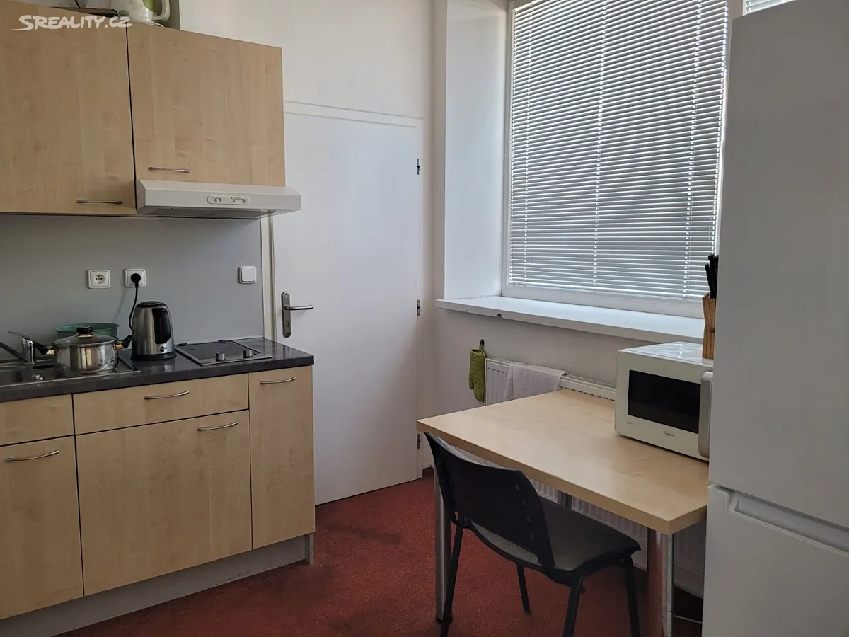 Pronájem bytu 2+1 43 m², Brno