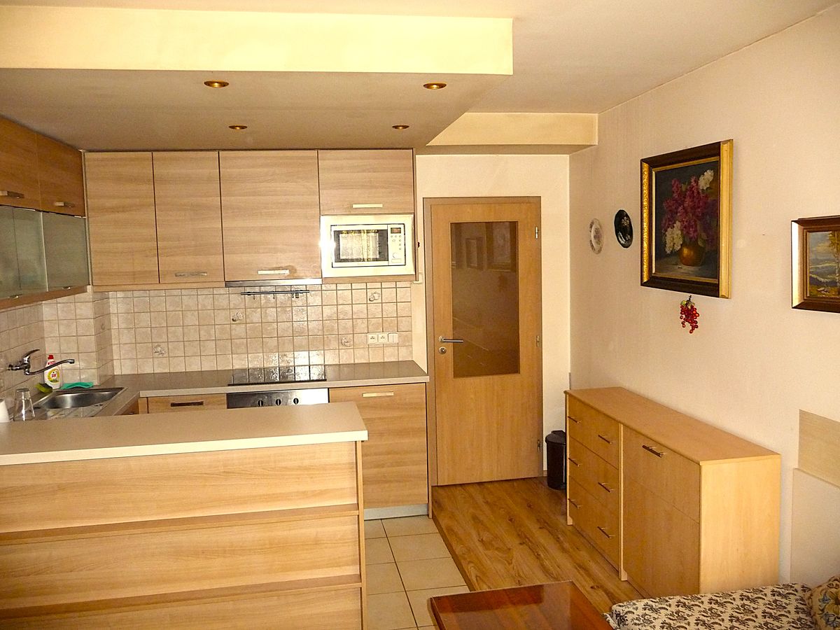 Prodej bytu 1+1 44 m²