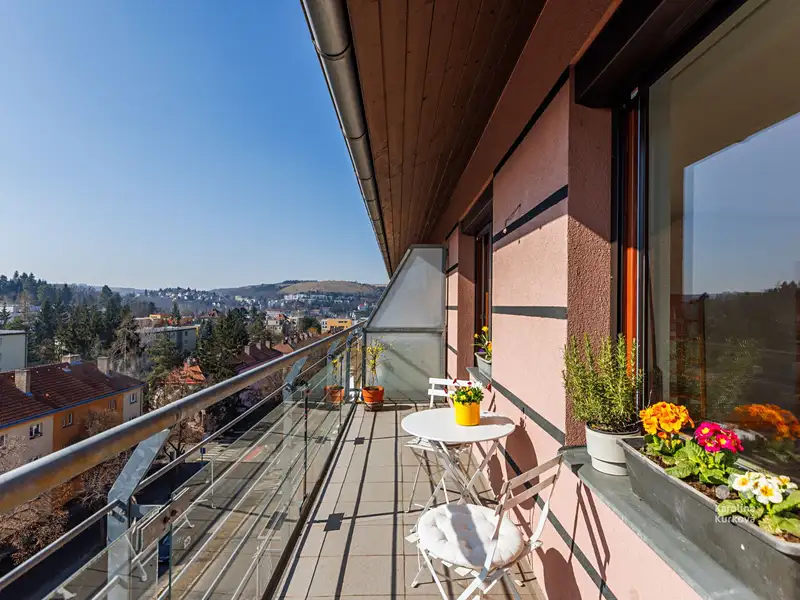 Pronájem bytu 1+kk 55 m², Praha – náhled fotky 2
