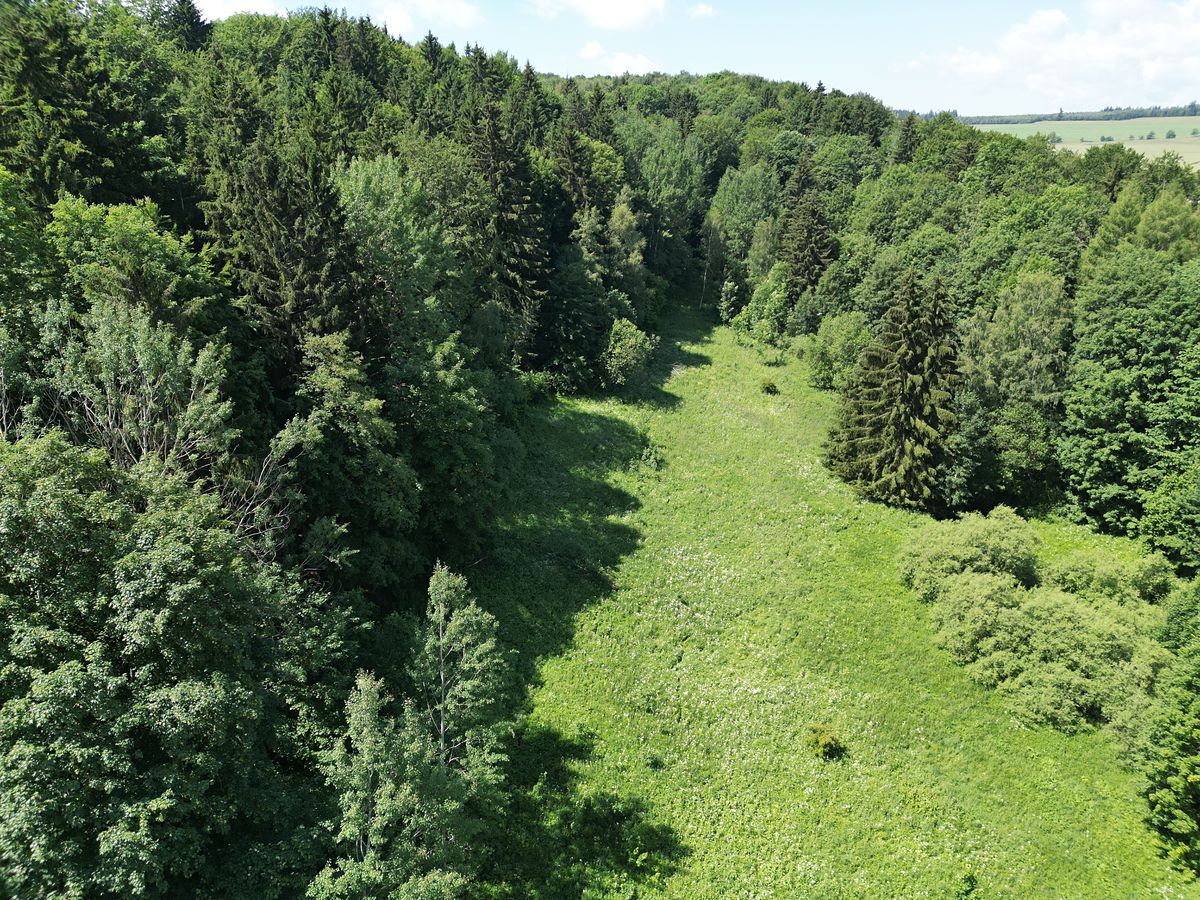 Prodej pozemku 67106 m² – fotografie 3