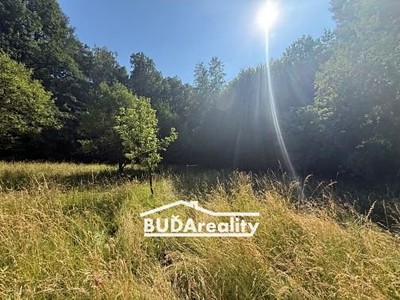 Prodej  lesa 6 667 m²