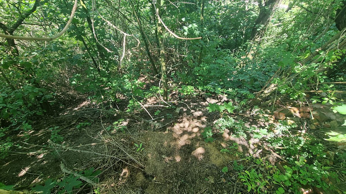 Prodej stavebního pozemku 2121 m² – fotografie 4